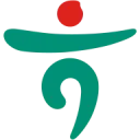 Hana Financial Group Payments logo
