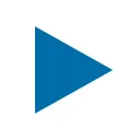 Payline Data logo