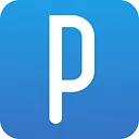 PingPong Payments logo